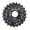 Cassette XLC Campagnolo 13-23 8 V