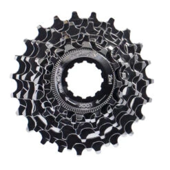 Cassette XLC Campagnolo 13-23 8 V