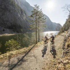 Loeffler Maillot Cyclisme Manches Courtes W Bike Jersey FZ Clear Hotbond® - Violet -Velo Composant Magasin maillot cyclisme manches courtes w bike jersey fz clear hotbond violet 2